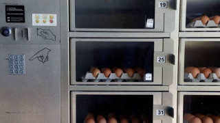 Πάνω από 35 εκατομμύρια μολυσμένα αυγά έχουν εισαχθεί στην Γερμανία
