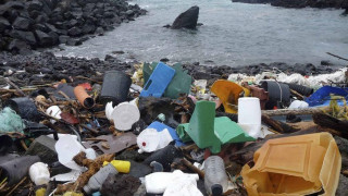 Θανατηφόρες οι πλαστικές σακούλες στη θάλασσα-Πώς συνδέονται με την εμφάνιση μεδουσών