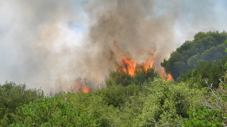 Κέρκυρα: Υπό ύφεση οι τρεις πυρκαγιές που ξέσπασαν στο νησί