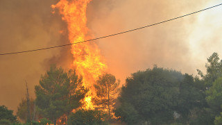 Ζάκυνθος: 30 φωτιές σε έναν μήνα - Τα σενάρια οργανωμένου σχεδίου καταστροφής (pics&aud)