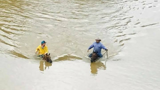 Χάρβει: Ένας πατέρας με τον γιο του σώζουν τα παγιδευμένα τους άλογα από τα απειλητικά νερά (vids)
