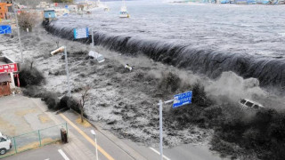 Θαλάσσια είδη από την Ιαπωνία έφθασαν στις ακτές των ΗΠΑ μετά το τσουνάμι του 2011