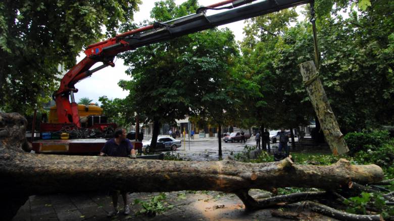 Θεσσαλονίκη: Προβλήματα στην ηλεκτροδότηση λόγω πτώσης δένδρου
