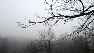 Βόλος: Στα ύψη η αιθαλομίχλη από τα τζάκια και τις ξυλόσπομπες
