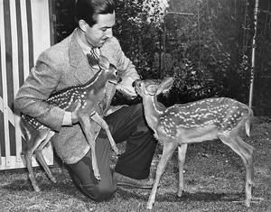 1942. Τα δύο μικρά ελάφια στην αγκαλιά του Γουόλτ υποδέχονταν τους επισκέπτες αλλά χρησιμοποιήθηκαν και σαν μοντέλα για το σχεδιασμό του Bambi.