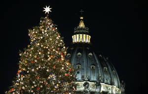 Το χριστουγεννιάτικο δέντρο στο Βατικανό στολίζεται κάθε χρόνο μπροστά από τη Βασιλική του Αγίου Πέτρου