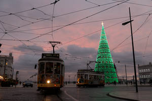 Στη Λισαβόνα το ψηλότερο χριστουγεννιάτικο δένδρο της Ευρώπης