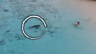 Μπαχάμες: Παιδί γλιτώνει στο... παρά πέντε από επίθεση καρχαρία (vid)