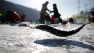Νότια Κορέα: Ψαρεύοντας πέστροφες στον πάγο (pics)