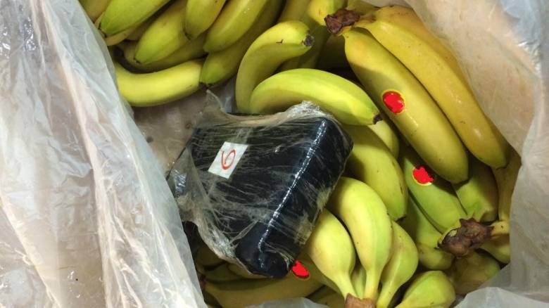 Έκρυβαν 41,5 κιλά κοκαΐνης σε φορτίο με μπανάνες από το Εκουαδόρ