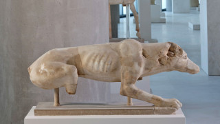 Μουσείο Ακρόπολης: λαγωνικά φέρνουν τον αρχαίο δεσμό ανθρώπων & ζώων στο φως