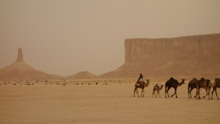 Το νέο μεγάλο οικονομικό «στοίχημα» της Σαουδικής Αραβίας είναι ο αρχαιολογικός τουρισμός