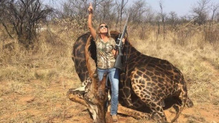 Οργή για την κυνηγό που σκότωσε σπάνια καμηλοπάρδαλη και ποζάρει περήφανα μπροστά από το πτώμα της