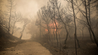 Δήμαρχος Μεγαρέων στο CNN Greece: Η φωτιά είναι εκτός ελέγχου, κινδυνεύουν σπίτια