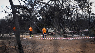 Στις φλόγες η Αττική: Σοβαρές ενδείξεις εμπρησμού και ύποπτα ευρήματα, λέει η κυβέρνηση