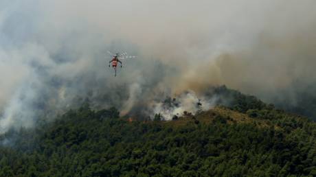 Οδηγίες προστασίας από τις δασικές πυρκαγιές