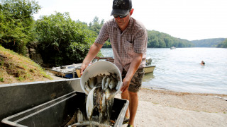 Το κύμα καύσωνα σκοτώνει τα ψάρια στον ποταμό Ρήνο