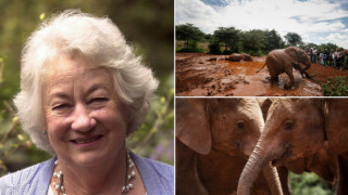Daphne Sheldrick: Η γυναίκα που άλλαξε τη μοίρα των ελεφάντων στον κόσμο