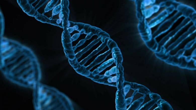Νέα σύνδεση μεταξύ βλάβης του DNA και εμφάνισης καρκίνου