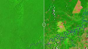 Η αποψίλωση στη ζούγκλα του Αμαζονίου στο Περού (13 Νοεμβρίου 1986 και 30 Οκτωβρίου 2016)