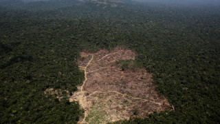 Συναγερμός στον Αμαζόνιο: Εξαφανίζεται δάσος πέντε φορές μεγαλύτερο του Λονδίνου