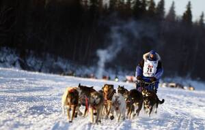Αγώνας Iditarod στην Αλάσκα των ΗΠΑ: Πρόκειται για έναν αγώνα 1.600χλμ με έλκηθρο που σέρνουν σκύλοι, υπό αντίξοες συνθήκες. Απαιτούνται οκτώ ημέρες για να ολοκληρωθεί ο αγώνας και οι συμμετέχοντες βρίσκονται αντιμέτωποι με θυελλώδεις ανέμους και θερμοκρα