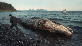 Exxon Valdez: 30 χρόνια από την ασύλληπτη περιβαλλοντική καταστροφή, τι έχουμε διδαχθεί;