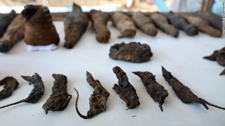 Αίγυπτος: Ανακαλύφθηκε τάφος με 50 μουμιοποιημένα ζώα