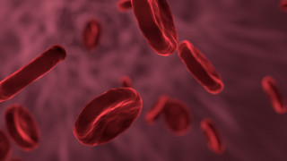 «Χρυσό αίμα»: Αυτή είναι η ομάδα αίματος που έχουν λιγότεροι από 50 άνθρωποι