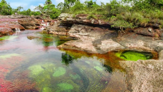 «Υγρό ουράνιο τόξο»: Ένας ποταμός χρωμάτων στην Κολομβία