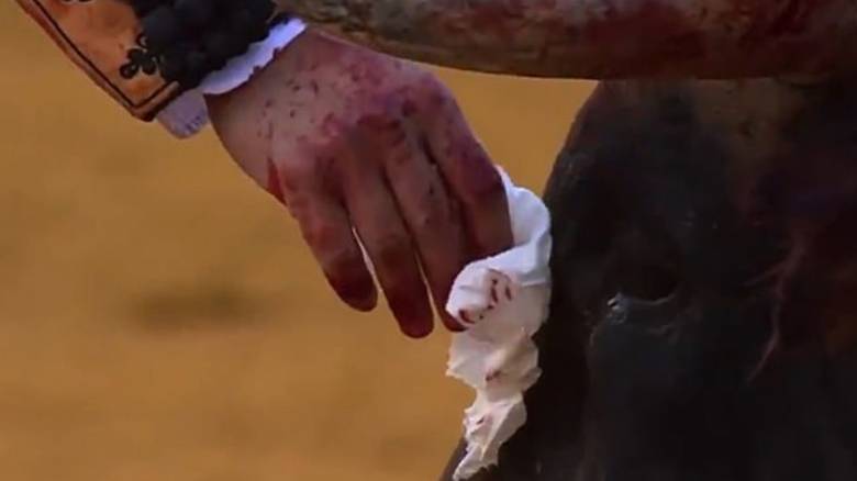 Βίντεο: Ταυρομάχος σκουπίζει τα ματωμένα δάκρυα του ταύρου πριν τον σκοτώσει