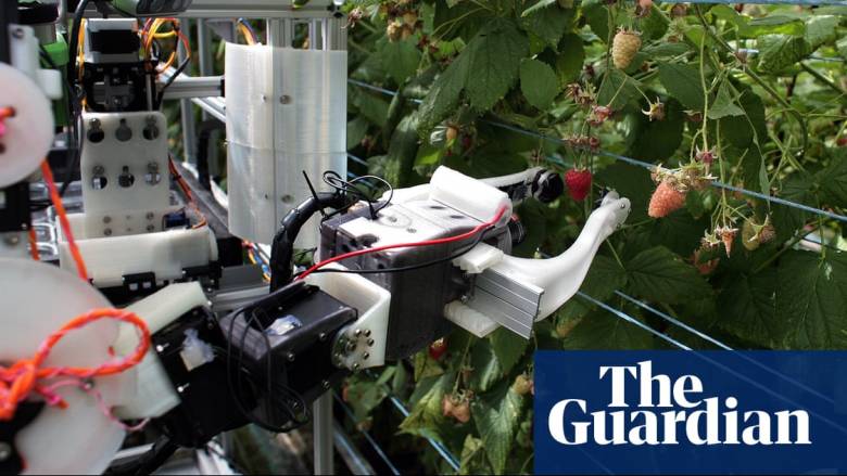 Βρετανία: Πώς ένα ρομπότ θα σώσει τους καλλιεργητές σμέουρων