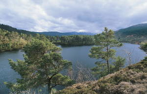 Μια άλλη άποψη της λίμνης στη Σκωτία