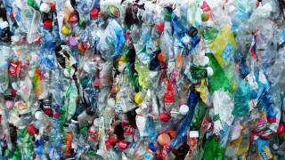 Ανησυχητικά στοιχεία: Η WWF αποκαλύπτει πόσο πλαστικό καταπίνει κάθε εβδομάδα ο μέσος άνθρωπος