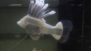 Δημιουργήθηκε το πρώτο ρομποτικό ψάρι που κινείται με συνθετικό αίμα