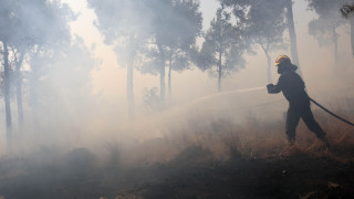 Θεσσαλονίκη: Φωτιά στο δάσος του Σέιχ Σου από κεραυνό