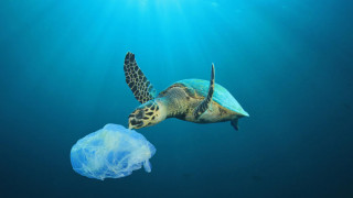 Παγκόσμια Ημέρα Κατά της Πλαστικής Σακούλας: Μείωση της ποσότητας αλλά όχι και της εξάρτησης