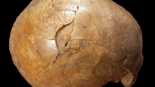 Δικαίωση μετά από…33.000 χρόνια! Ελληνίδες ερευνήτριες εξιχνίασαν βίαιο παλαιολιθικό φόνο