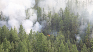 Τι σημαίνουν οι πυρκαγιές στην Αλάσκα για την αλλαγή στο κλίμα του πλανήτη;