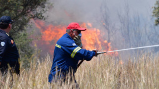 Σε ύφεση πυρκαγιά σε δάσος στην Κάτω Δροσιά Ερύμανθου