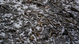 Μυστήριο στη «Λίμνη των Σκελετών» στα Ιμαλάια: Βρέθηκαν και σκελετοί «Ελλήνων»
