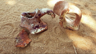 Ξάνθη: Ανακάλυψαν βυζαντινά πιθάρια την ώρα που έκαναν το μπάνιο τους