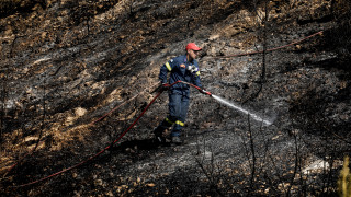 Mεγάλη φωτιά στην Κέρκυρα: Εκκενώθηκαν δύο χωριά - Τι λέει η αντιπεριφερειάρχης στο CNN Greece