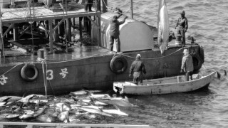 Η σφαγή των δελφινιών: Η Ιαπωνία άρχισε και φέτος το αμφιλεγόμενο κυνήγι στο Ταΐτζι