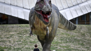 Πώς θα ήταν ο κόσμος αν δεν είχαν εξαφανιστεί οι δεινόσαυροι; Μερικές ενδιαφέρουσες θεωρίες