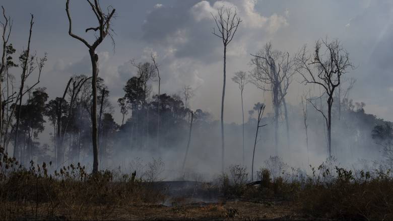 Η αποψίλωση της Αμαζονίας σχεδόν διπλασιάστηκε σε έναν χρόνο