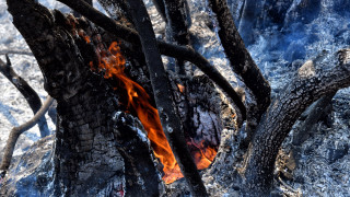 Φωτιά στο Λουτράκι: Συνεχίζεται η μάχη με τις φλόγες - Πολλές εστίες και αναζωπυρώσεις