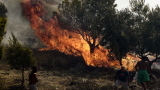 Φωτιά στη Ζάκυνθο: Πύρινο μέτωπο κατευθύνεται προς χωριό