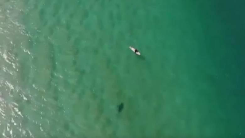 Από μηχανής Θεός: Πώς ένα drone έσωσε σέρφερ από επίθεση καρχαρία