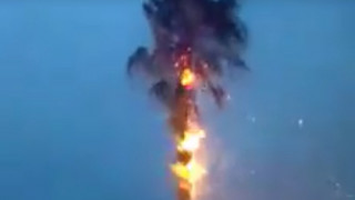 Κεφαλονιά: Συγκλονιστικό βίντεο - Φοίνικας φλέγεται μετά από πτώση κεραυνού
